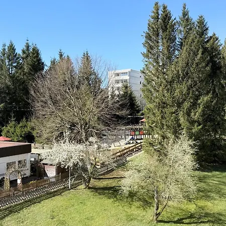Apartment Family - Familienfreundliches Mit Zwei Schlafzimmern Im Hahnenklee *