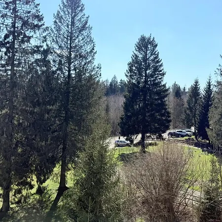Family - Familienfreundliches Mit Zwei Schlafzimmern Im Hahnenklee Apartmán