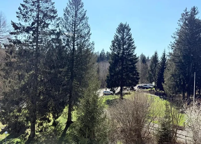 Family - Familienfreundliches Mit Zwei Schlafzimmern Im Hahnenklee Daire